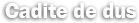 cadite dus
